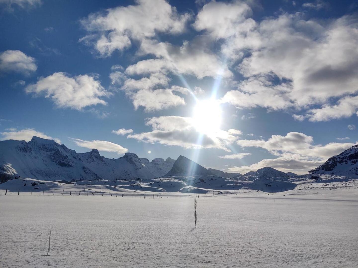 Fredvang Farm House - Lofoten Экстерьер фото