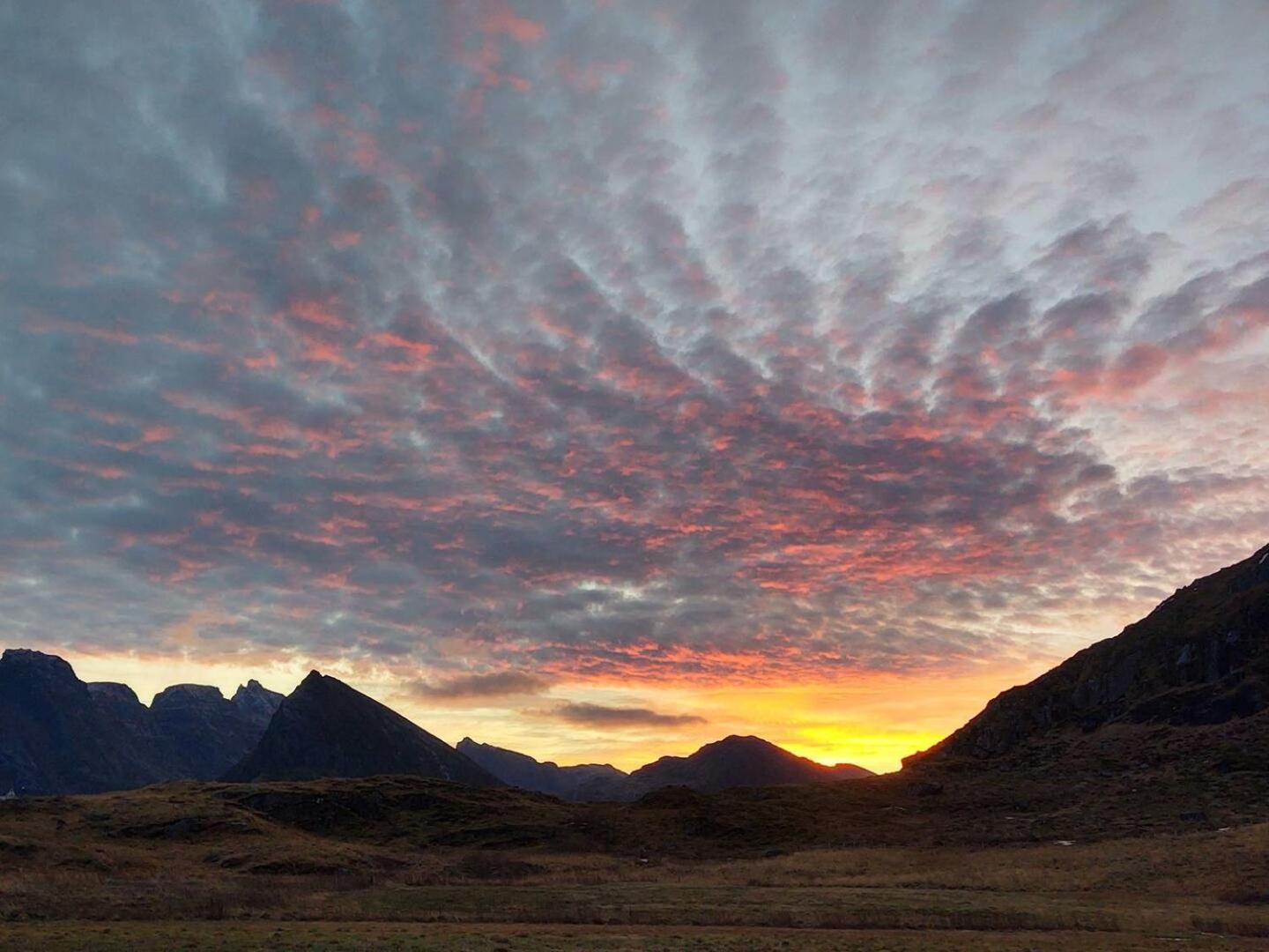 Fredvang Farm House - Lofoten Экстерьер фото